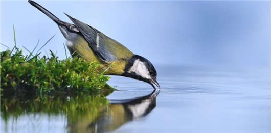 <a style='color:#268bd1;cursor:pointer;' href='/'>移民德國</a>生活,那么你一定要適應“飲用水”食物 移民<a style='color:#268bd1;cursor:pointer;' href='/mshh.html'>德國生活</a>,那么你一定要適應“飲用水”食物