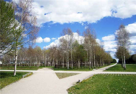 德國市場高技術人才緊缺,政策隨之發生變化 德國市場高技術人才緊缺,政策隨之發生變化