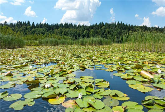 禮儀指南 禮儀指南