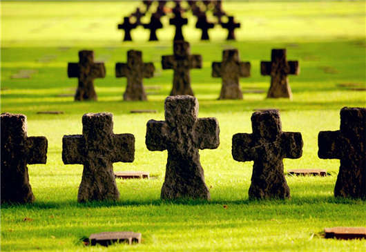 德國醫(yī)療保健系統(tǒng) 德國醫(yī)療保健系統(tǒng)