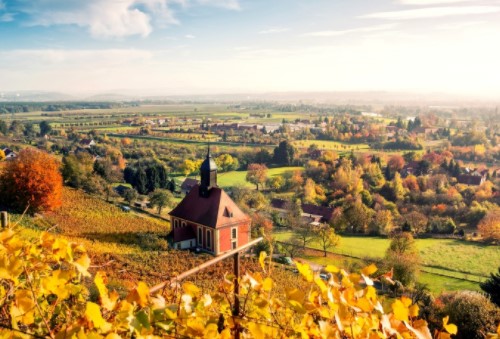 移民有哪些優勢？如何移民？