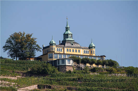 1590563875616215.jpg 19.jpg