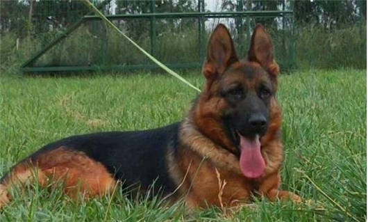 1595820124449509.jpg 微信截圖_20200727112123.jpg