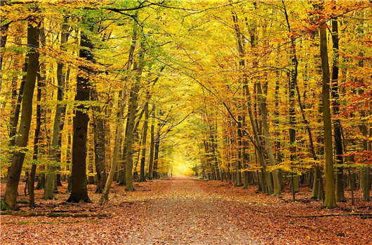 1598237608431178.jpg 22.jpg