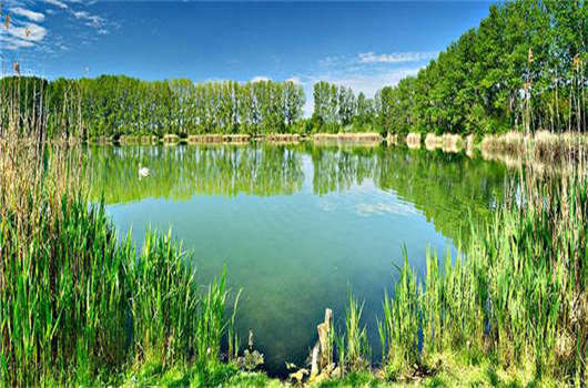 辦理德國移民，移民德國哪個城市最好？