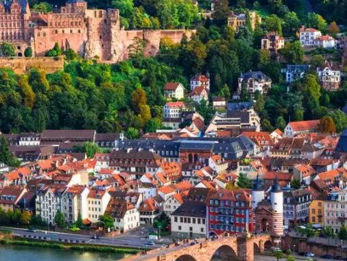 1628756976466507.jpg 1.jpg