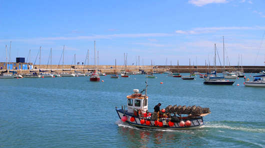 1648455546108328.jpg 1.jpg